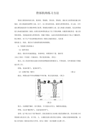 背部肌肉练习方法