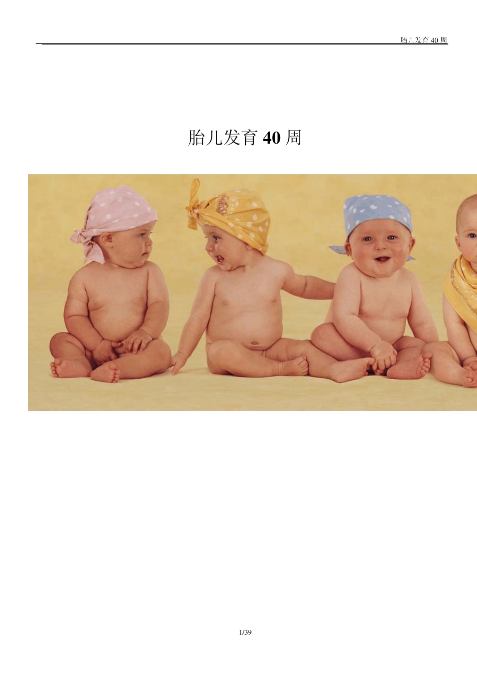胎儿发育过程40周_第1页