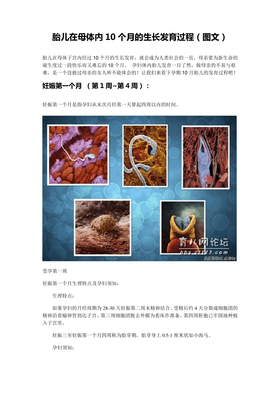 胎儿在母体内10个月的生长发育过程(图文)_第1页