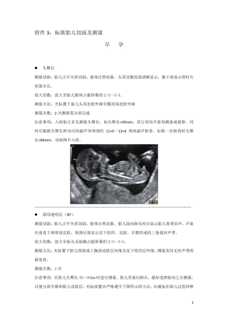 胎儿标准测量切面