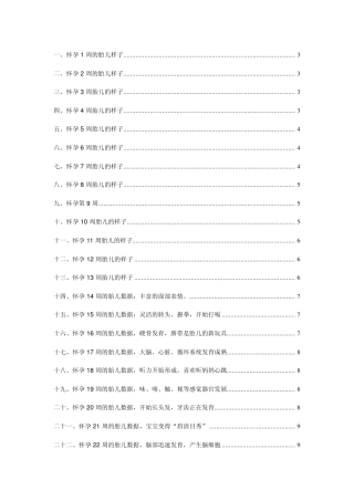 胎儿每周变化