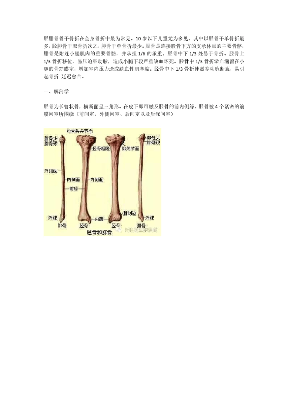 胫腓骨骨折的治疗方法_第1页