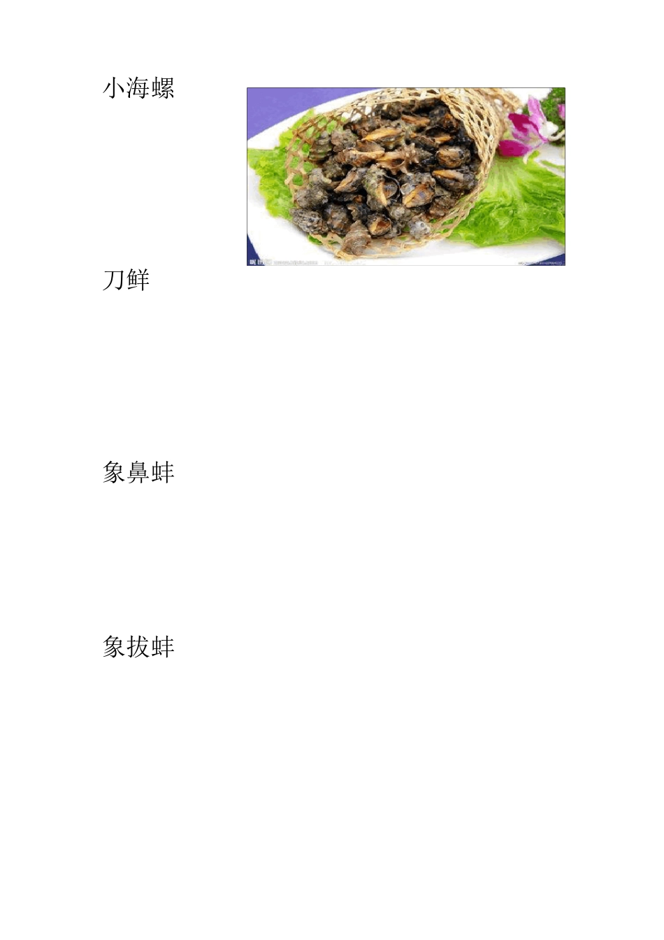 胶东海鲜贝壳图片大全_第3页