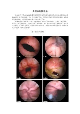胶囊内镜临床疾病图谱