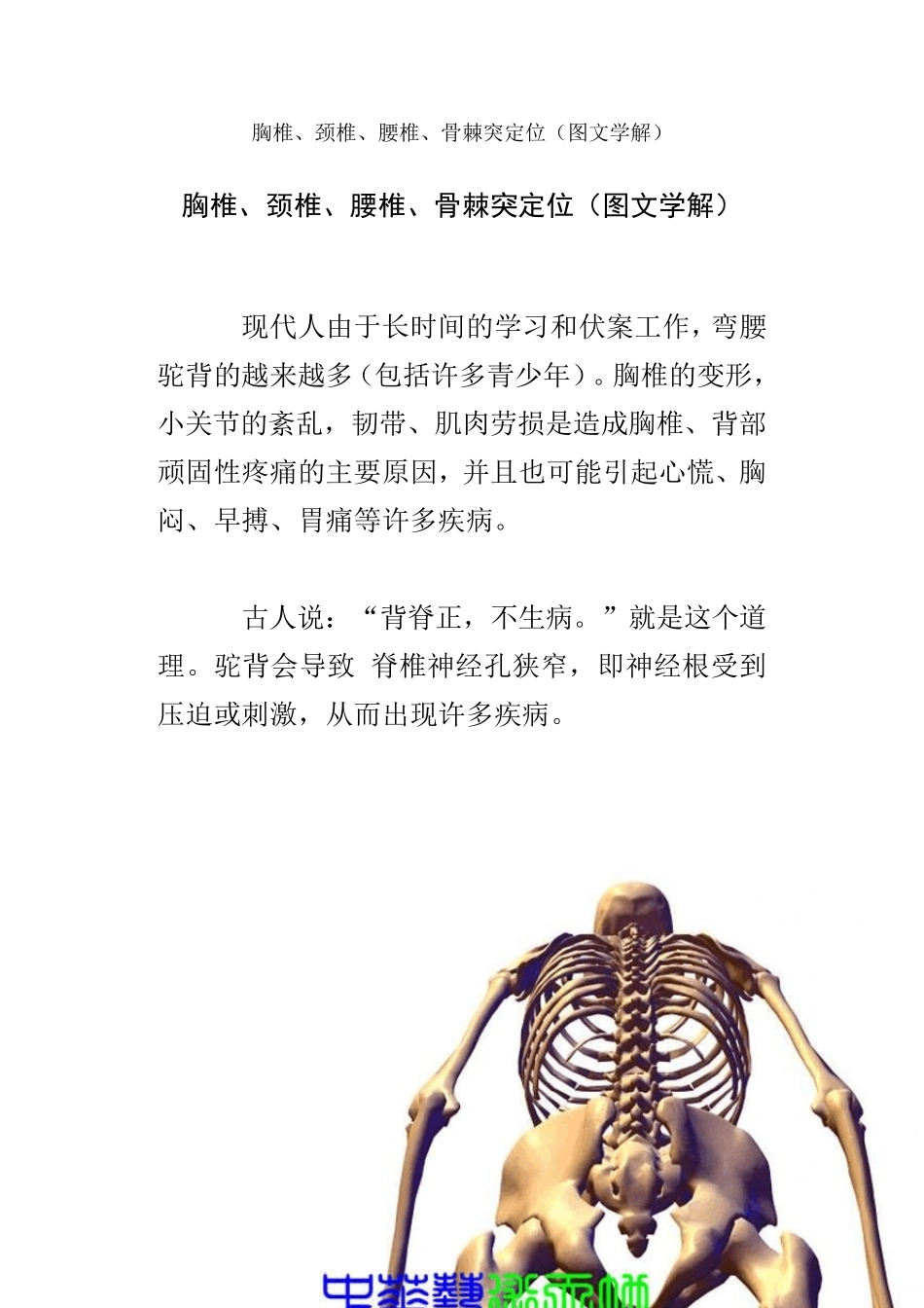 胸椎、颈椎、腰椎、骨棘突定位(图文学解)_第1页