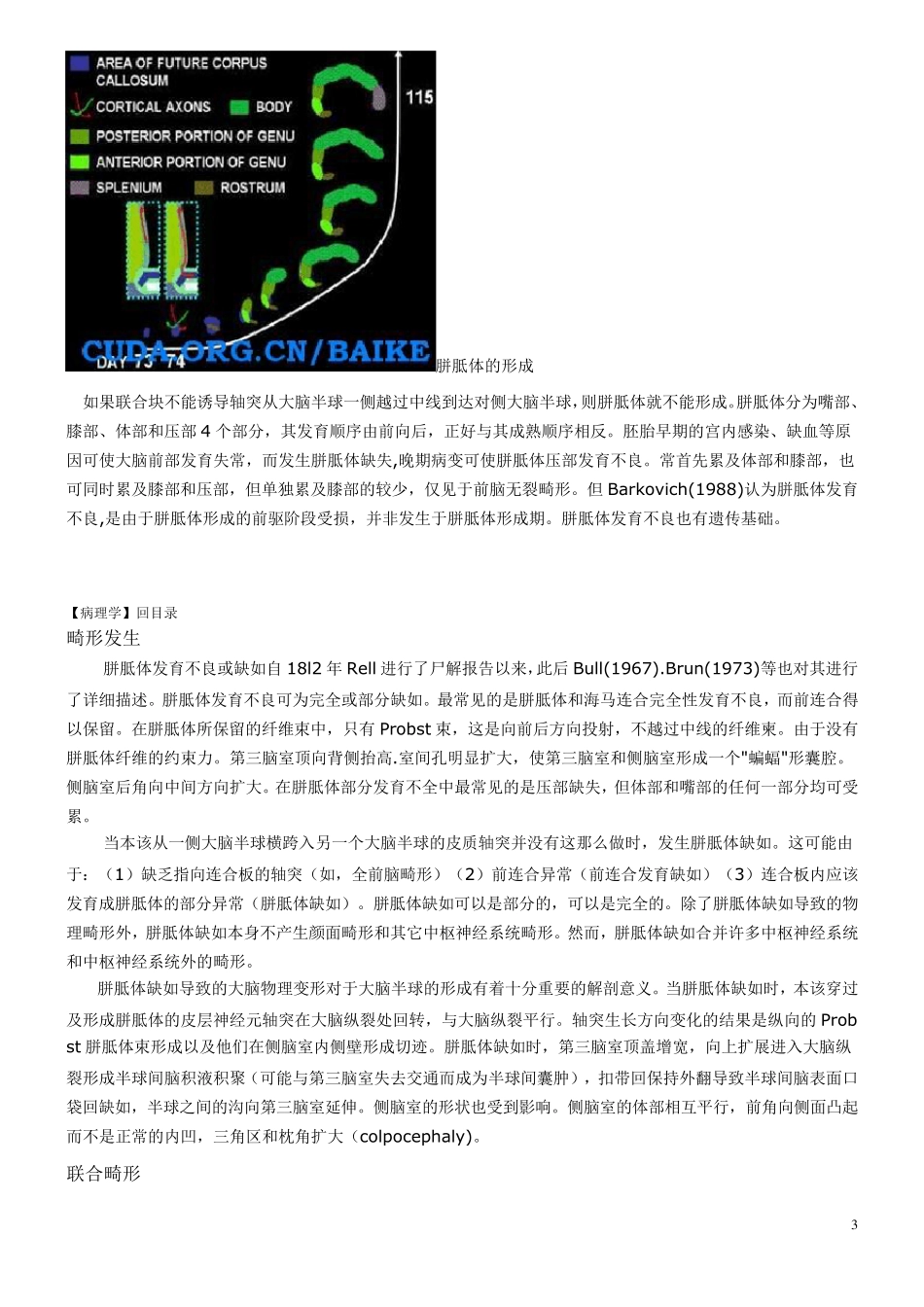 胼胝体发育不全或缺如_第3页