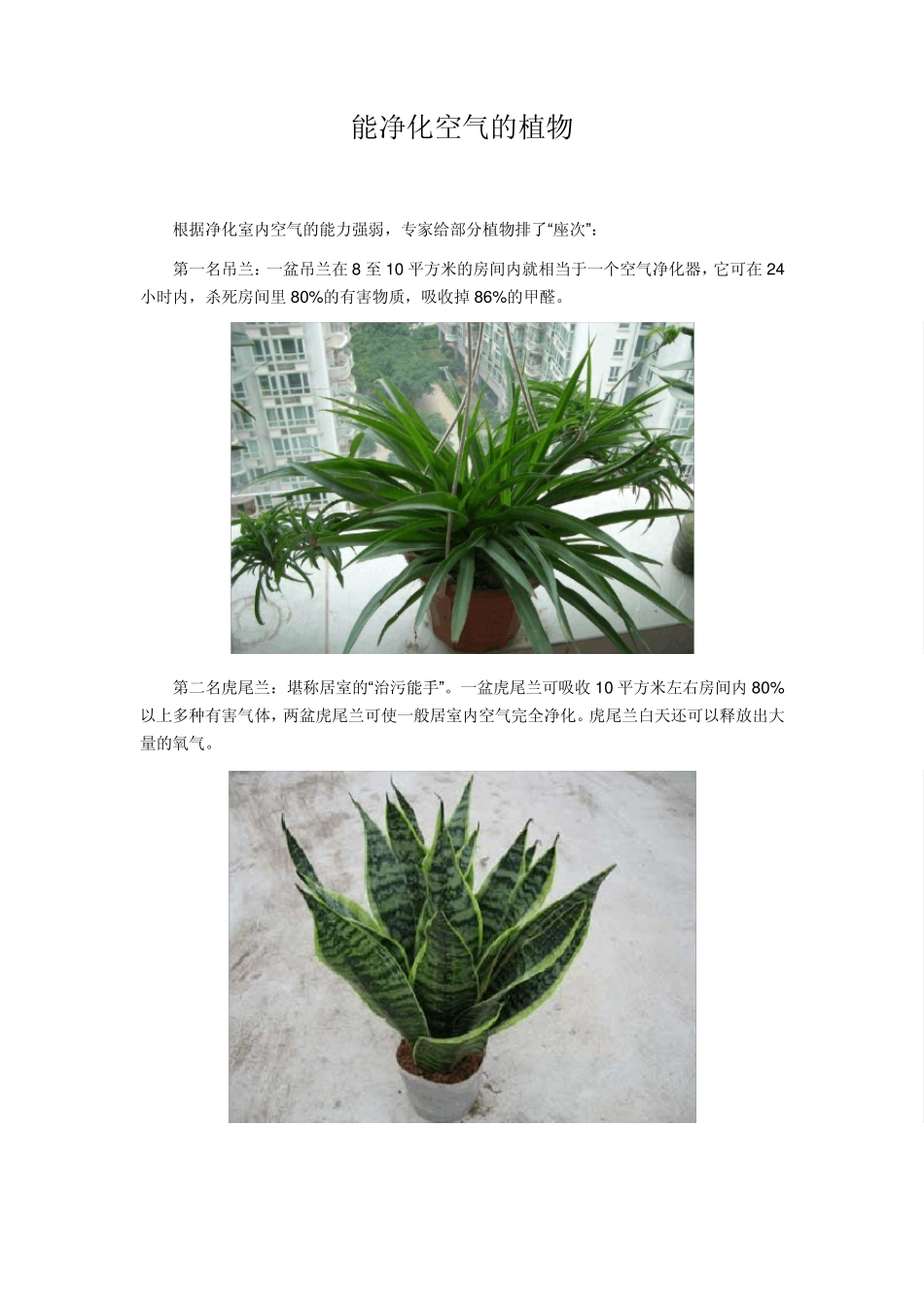 能净化空气的植物(配图版)_第1页