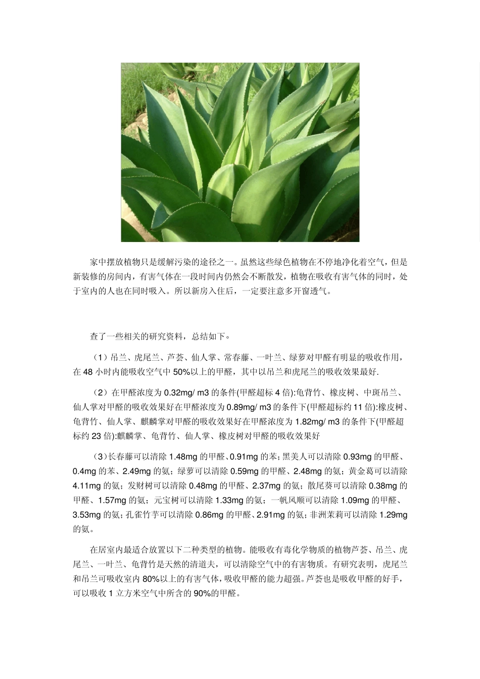 能净化空气的植物(配图版)_第3页