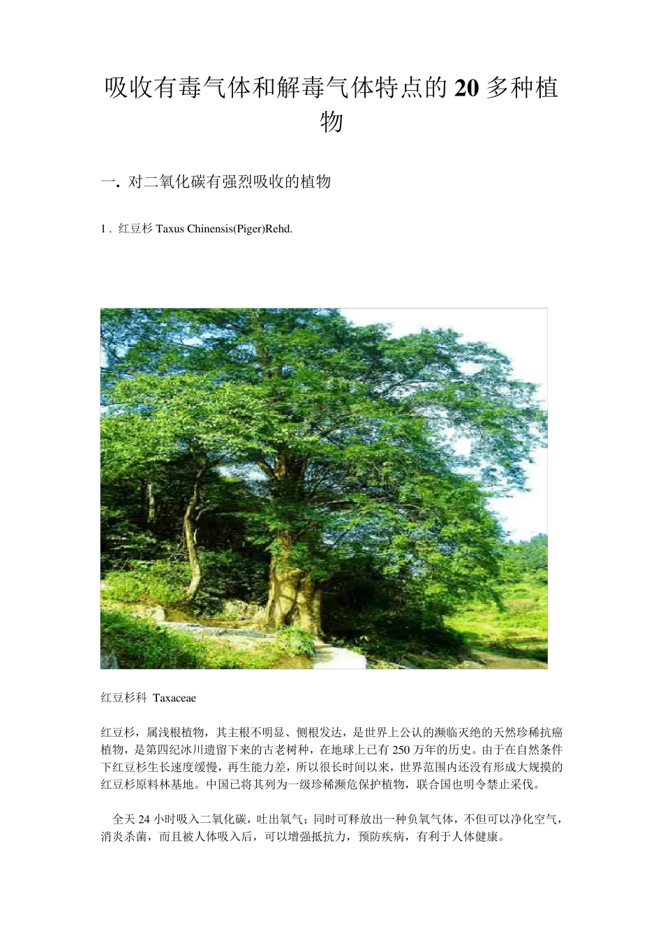 能吸收有毒气体,和解毒气体的20种园林植物_第1页