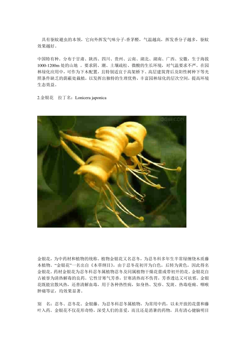 能吸收有毒气体,和解毒气体的20种园林植物_第2页