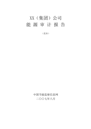 能源审计报告化肥行业