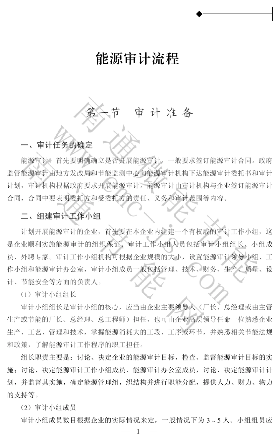 能源审计流程_第1页