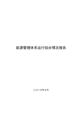 能源管理体系年度运行综合情况报告