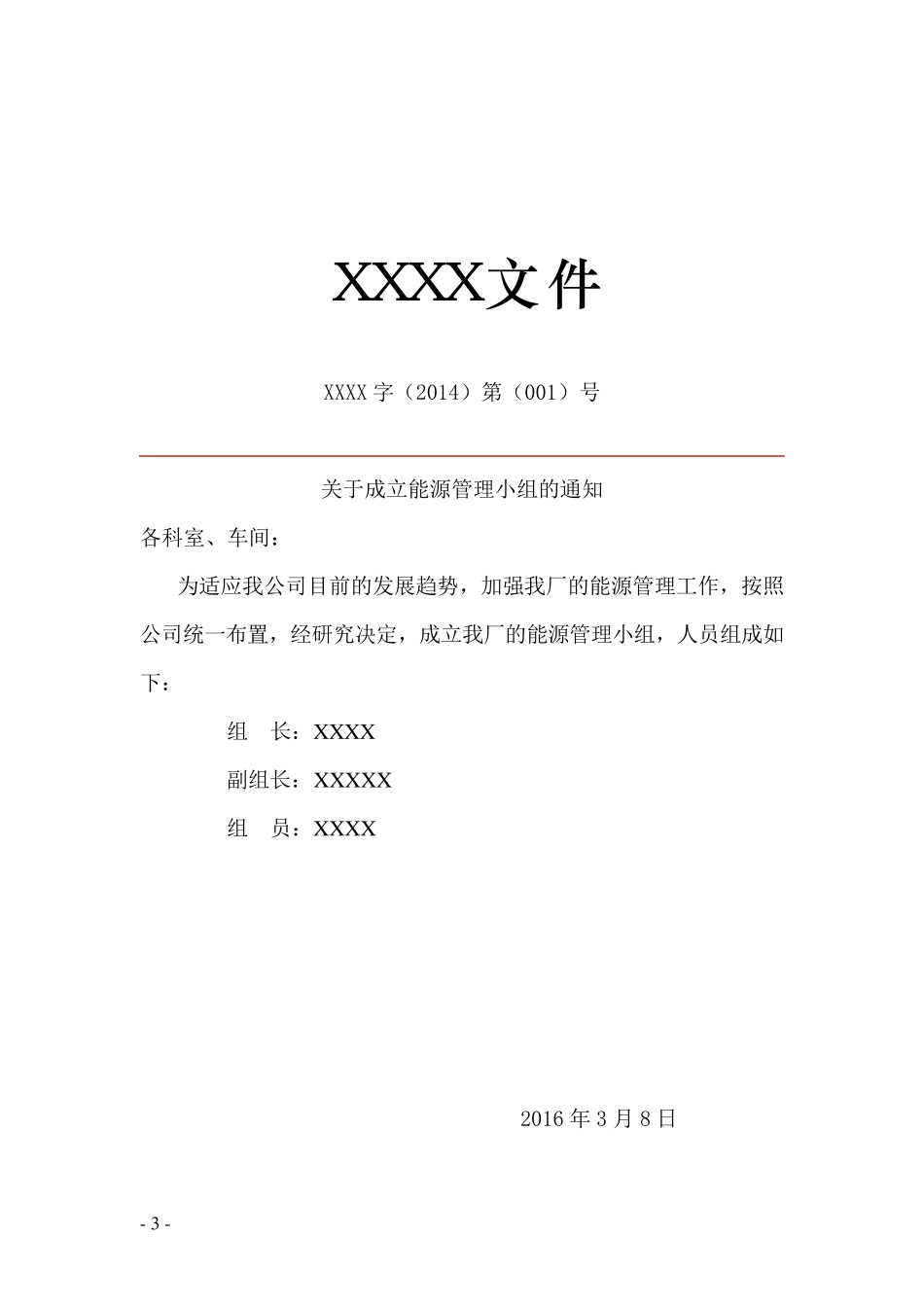 能源管理体系手册_第3页