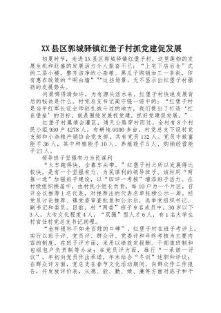 XX县区郭城驿镇红堡子村抓党建促发展