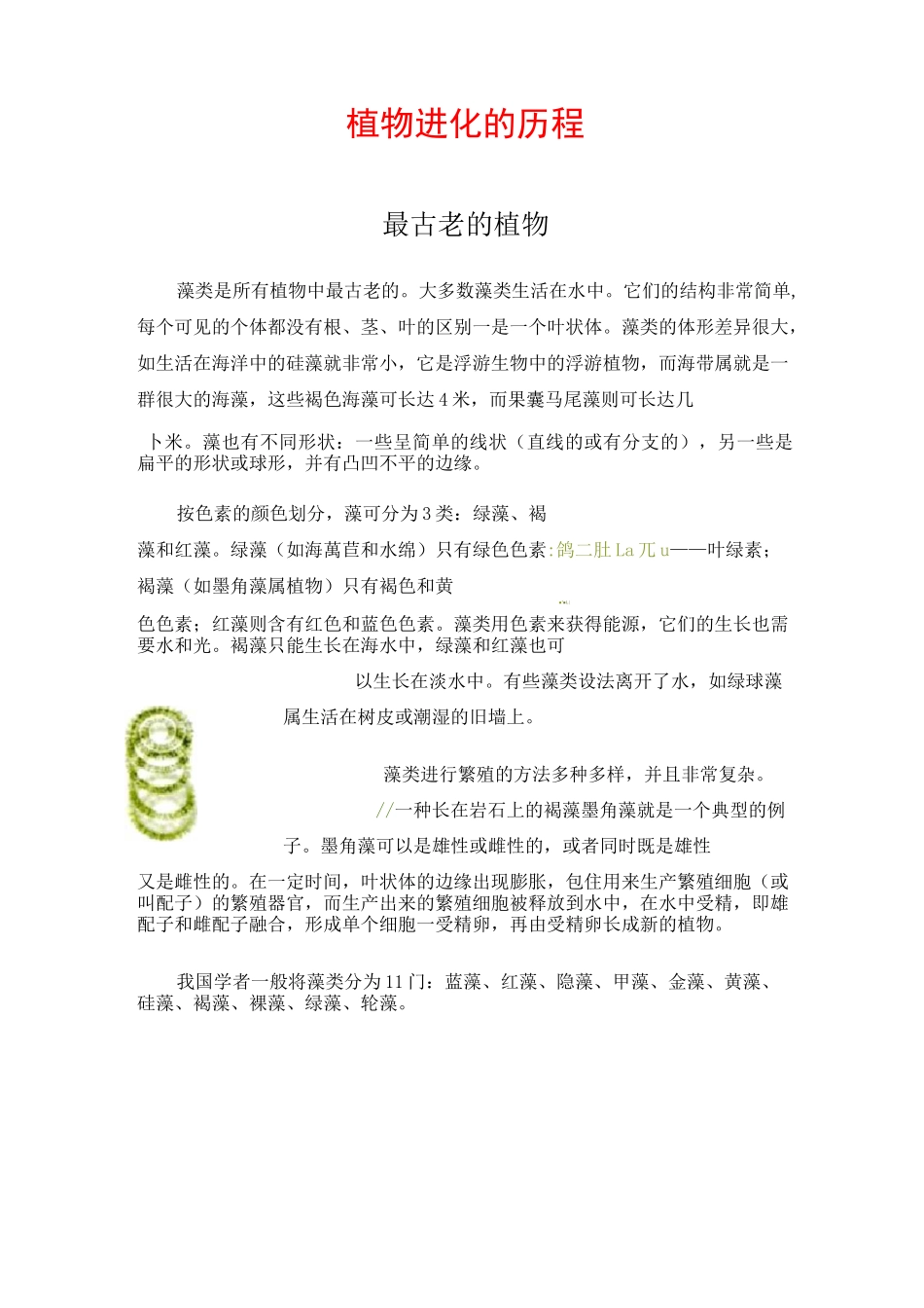 被子植物的进化历程_第1页