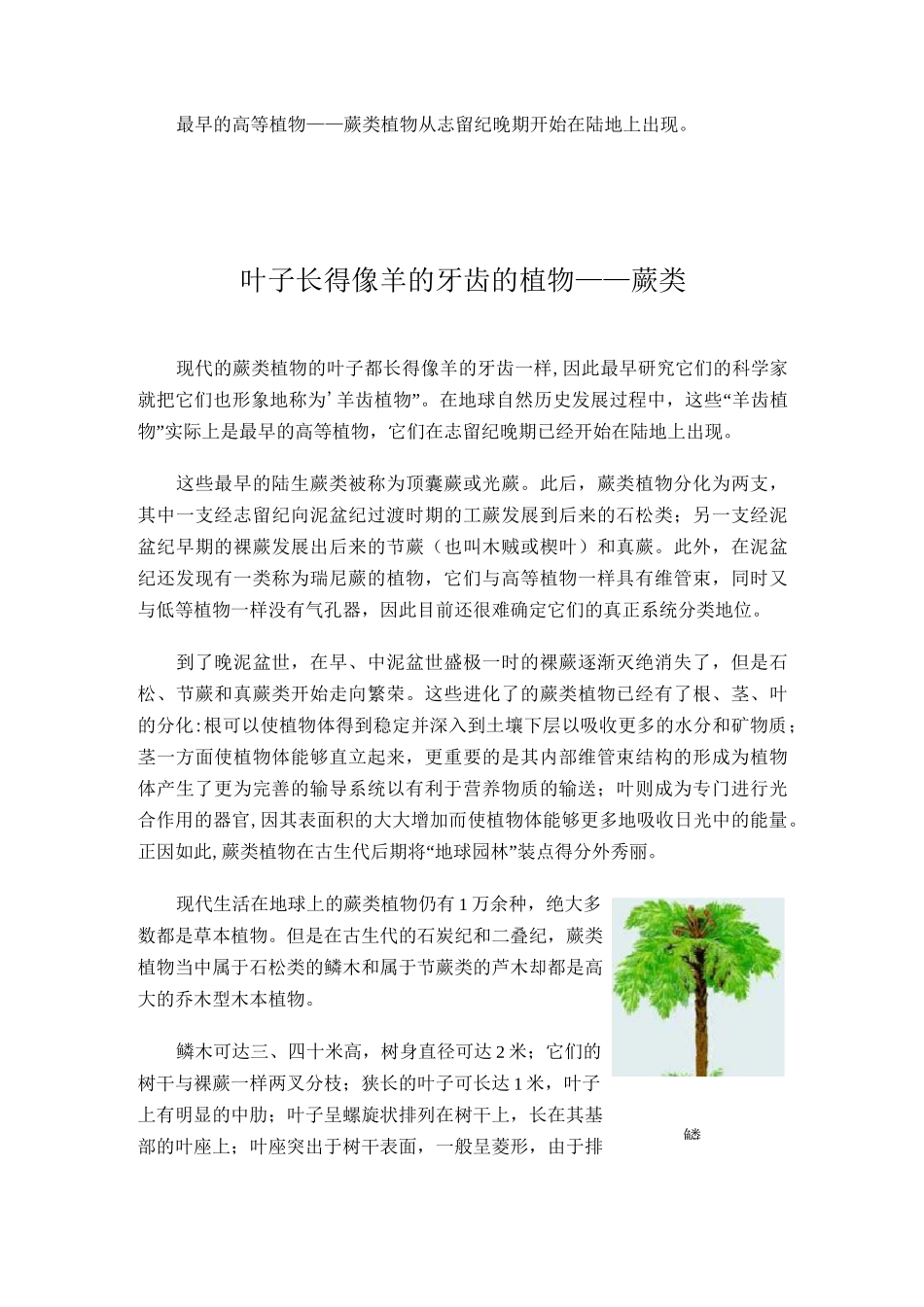 被子植物的进化历程_第3页