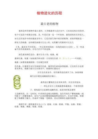 被子植物的进化历程