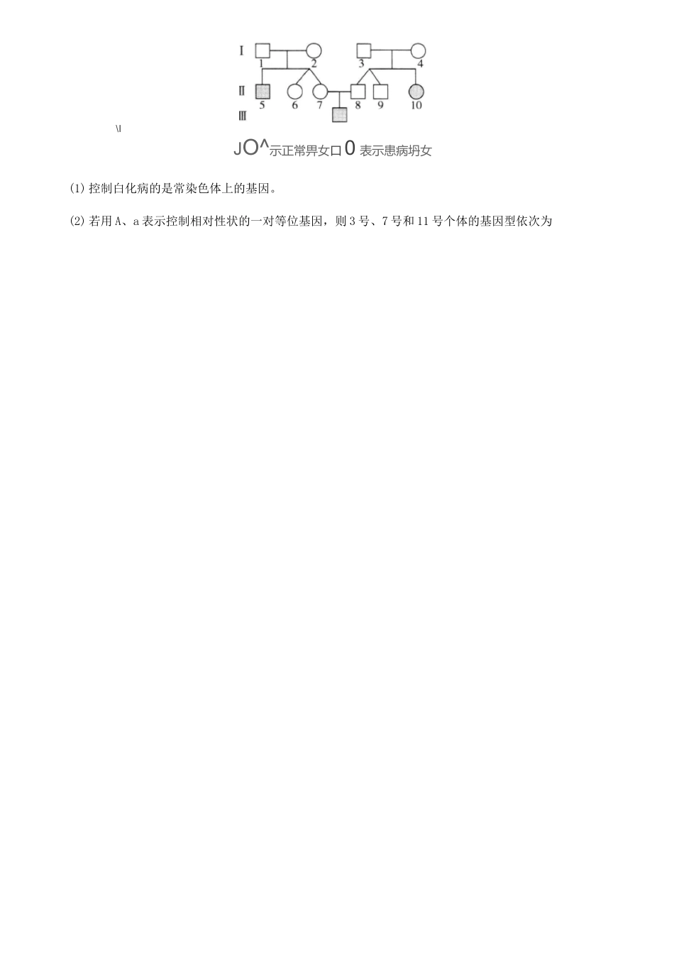 高中生物必修2遗传专题_第3页