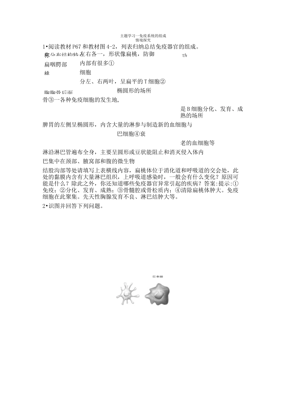 22人教版高中生物新教材选择性必修1--第1节 免疫系统的组成和功能_第3页