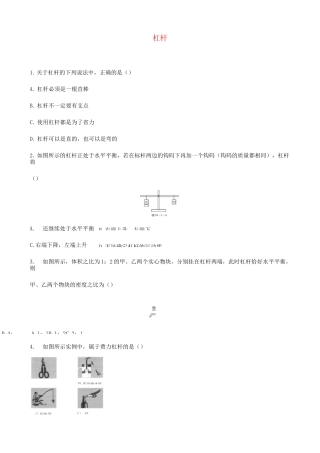 中考物理杠杆专题复习练习题