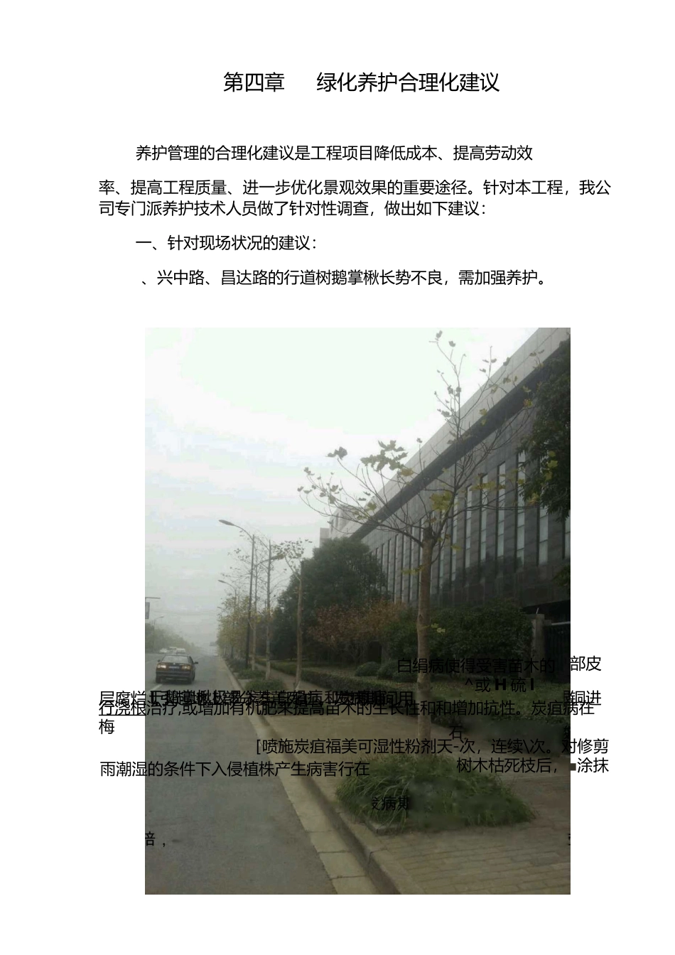 绿化养护合理化建议_第2页