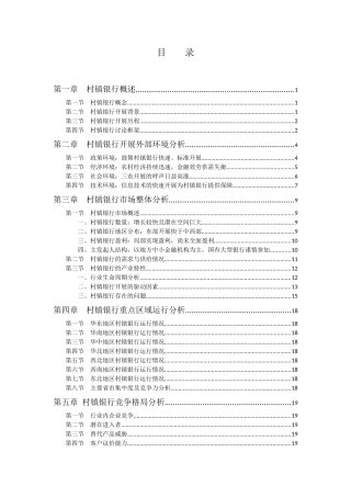 01中国村镇银行简要分析