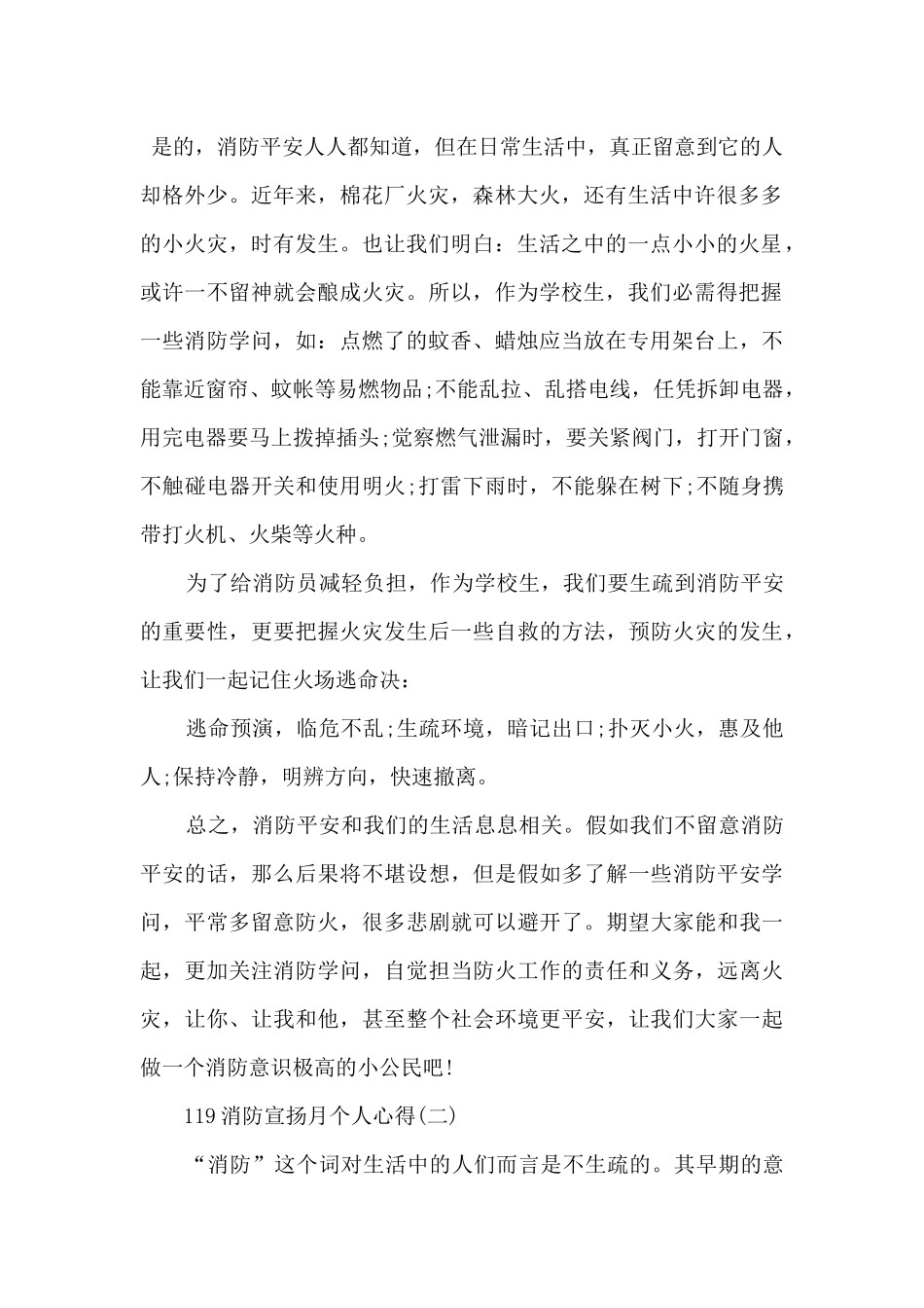 119消防宣传月个人心得_第2页
