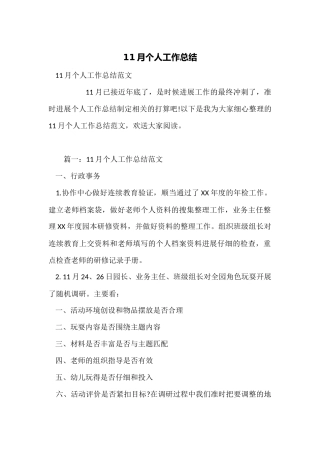 11月个人工作总结