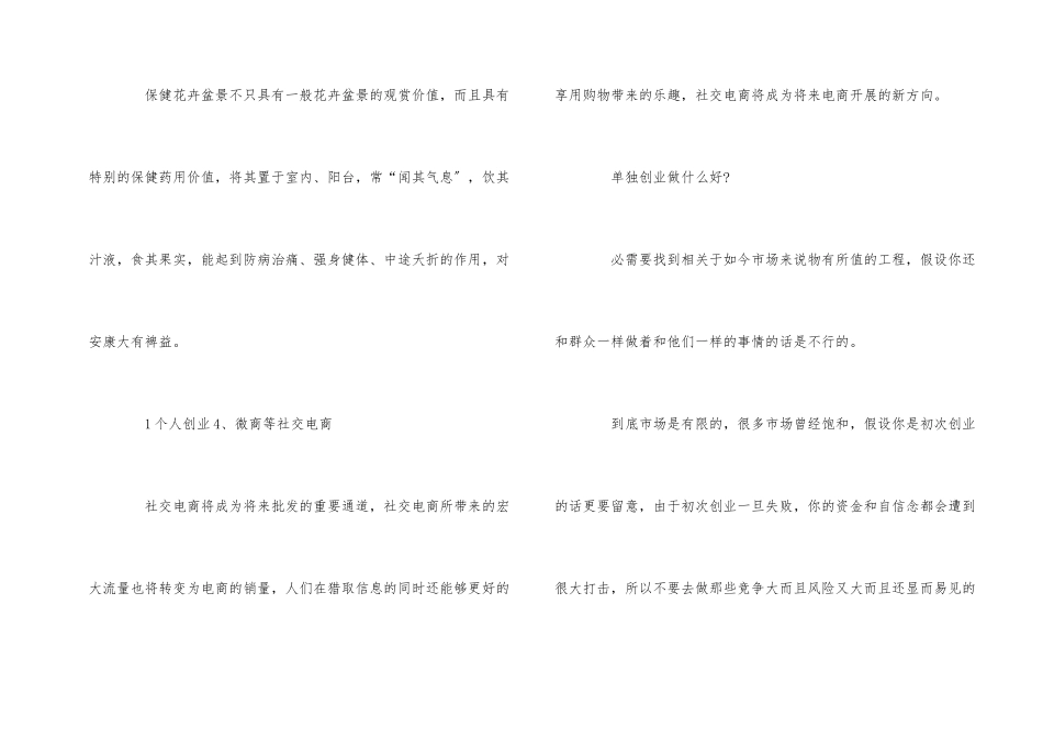 1个人创业项目_第2页