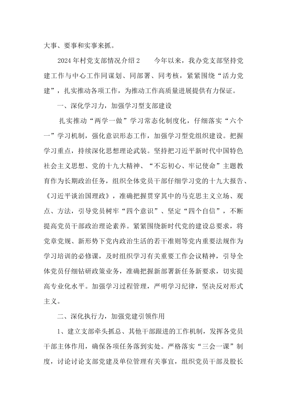 2021年村党支部情况介绍_第3页