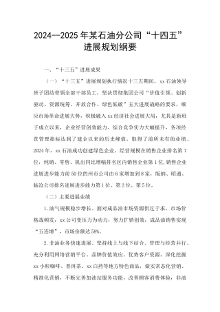 2024--2025年某石油分公司“十四五”发展规划纲要