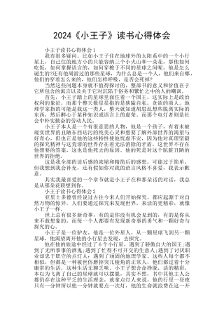 2024《小王子》读书心得体会