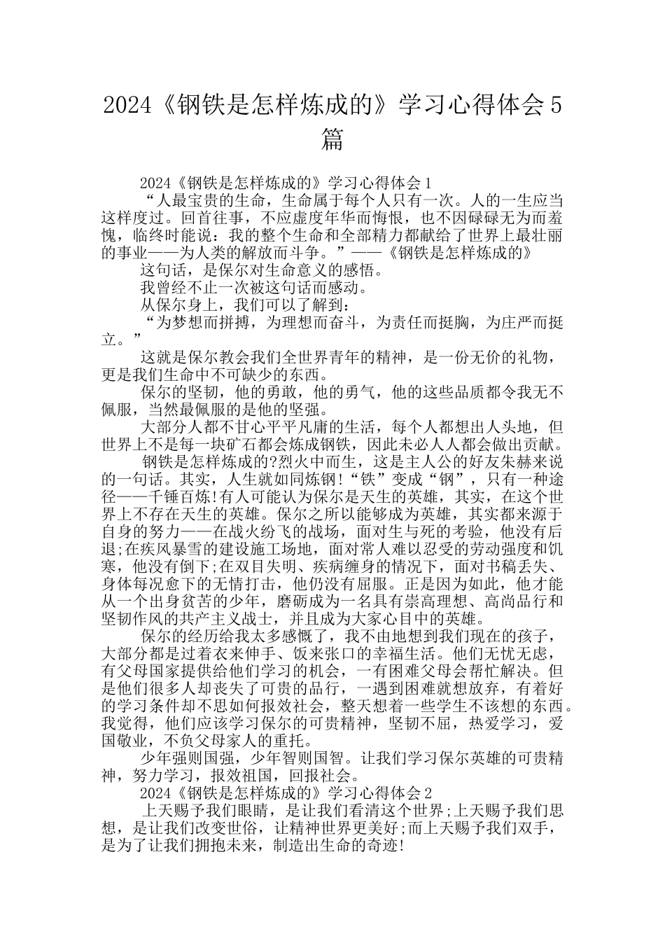 2024《钢铁是怎样炼成的》学习心得体会5篇_第1页