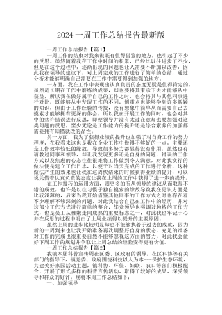2024一周工作总结报告最新版