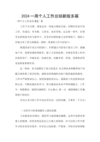 2024一周个人工作总结新版多篇