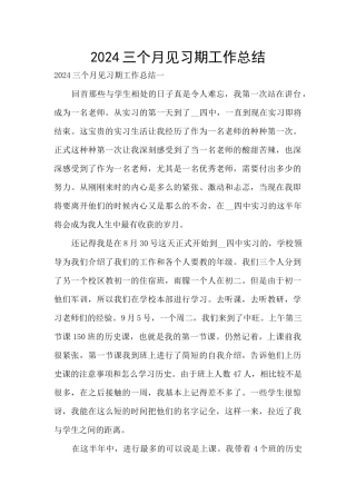 2024三个月见习期工作总结