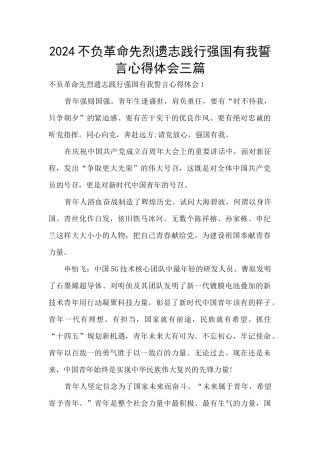 2024不负革命先烈遗志践行强国有我誓言心得体会三篇