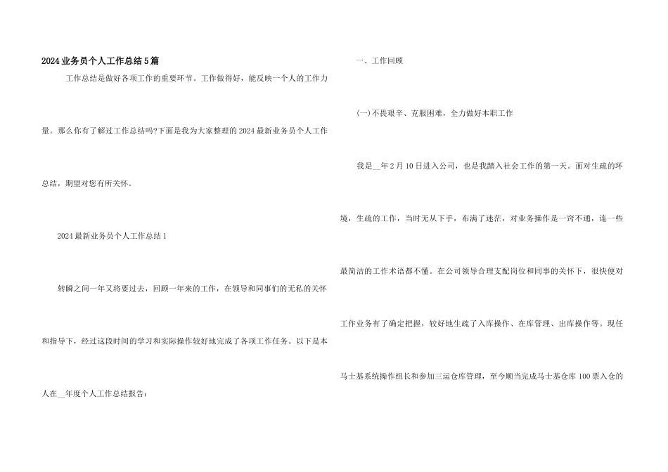 2024业务员个人工作总结5篇_第1页