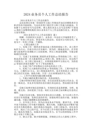 2024业务员个人工作总结报告