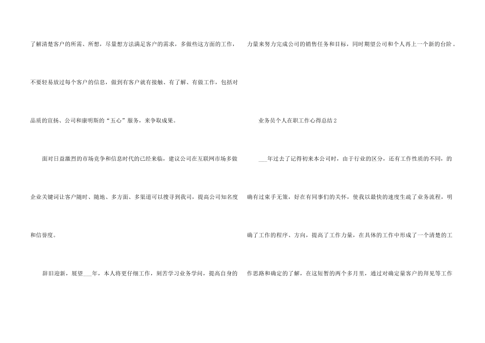 2024业务员个人在职工作心得总结_第3页