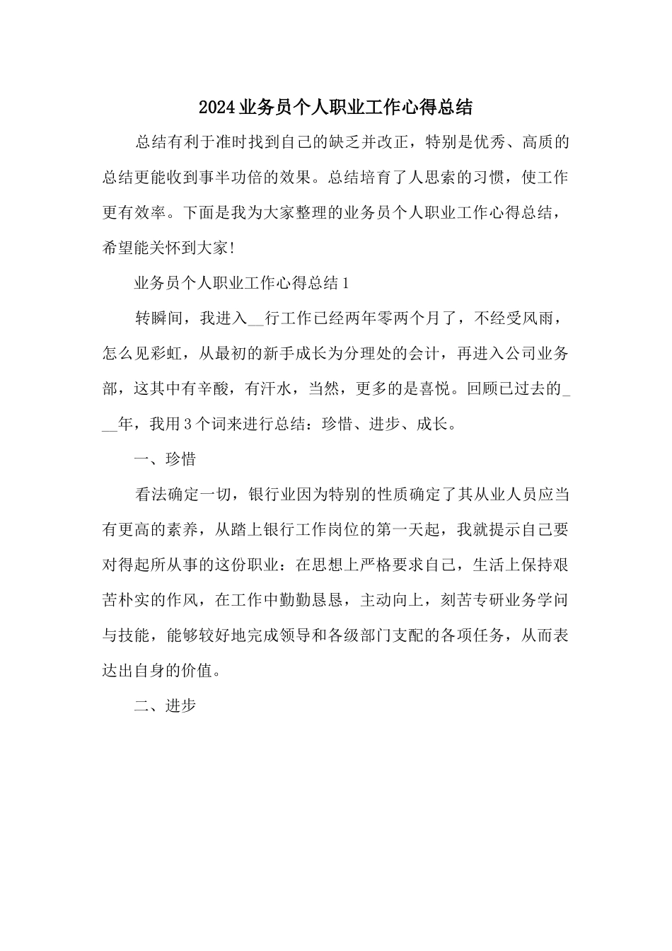 2024业务员个人职业工作心得总结_第1页