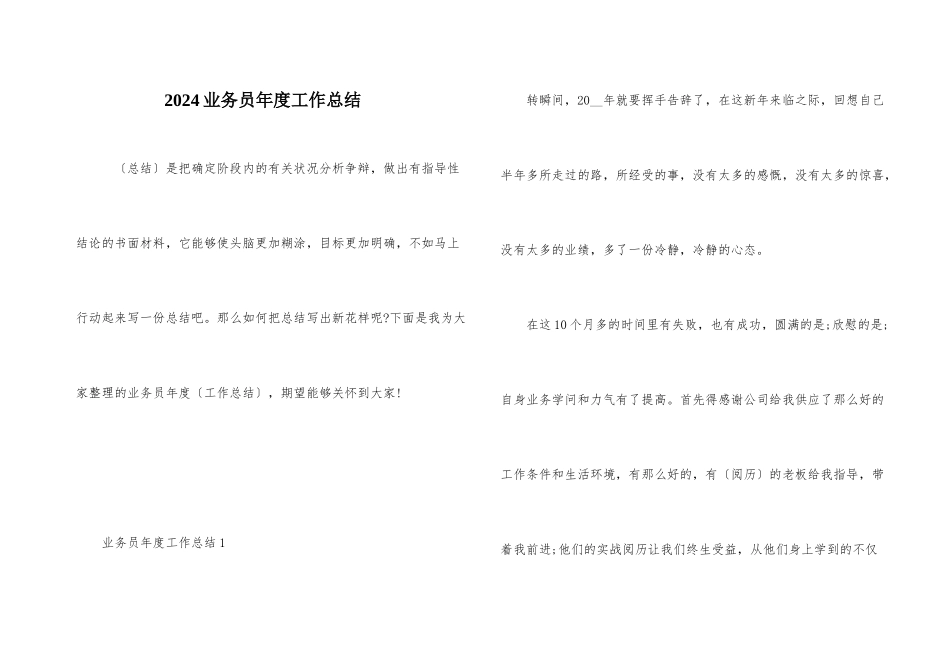 2024业务员年度工作总结_第1页