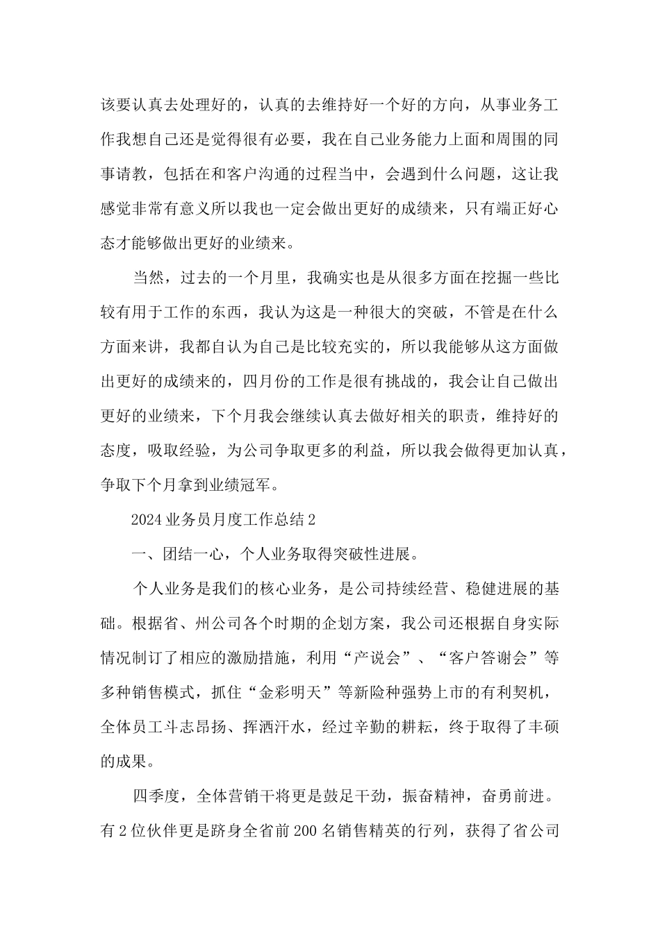 2024业务员月度工作总结_第2页