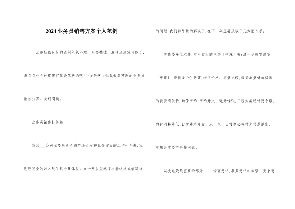 2024业务员销售计划个人范例_第1页