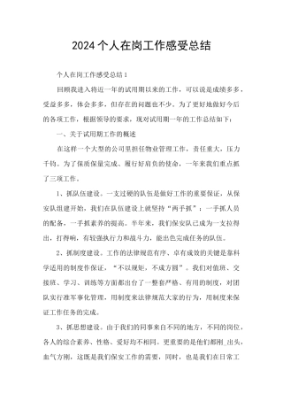 2024个人在岗工作感受总结