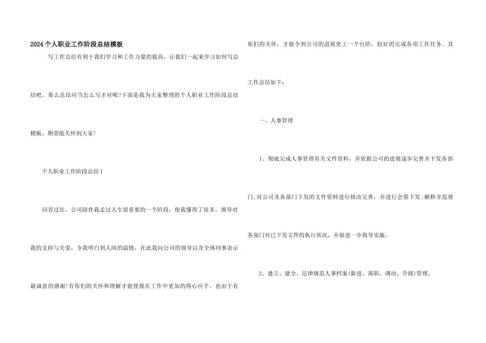 2024个人职业工作阶段总结模板_第1页