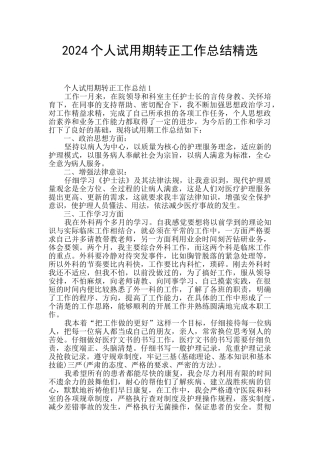 2024个人试用期转正工作总结精选