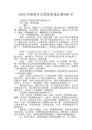 2024中国青年五四奖章观后感800字