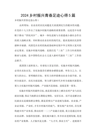 2024乡村振兴青春足迹心得5篇